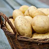 German investors ready to invest in potato processing in Chelyabinsk Region