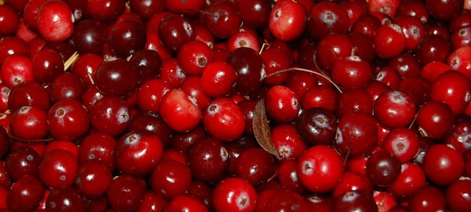 Karelia Increases Export of Cranberry Juice to Estonia