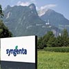 Syngenta to expand seeds and herbicides production in Russia