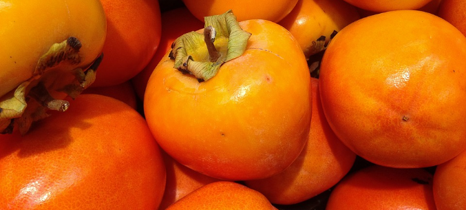 Russia is the key market for Azerbaijani persimmons 