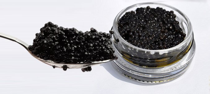 Russia’s Sturgeon Caviar Import Is Twice As Much As Its Export 