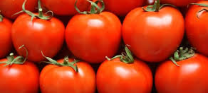 Russia to remove restrictions on Turkish tomatoes from May 1