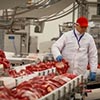 Swedish farmers plan to establish and develop meat production in Chuvashia based on Swedish technology