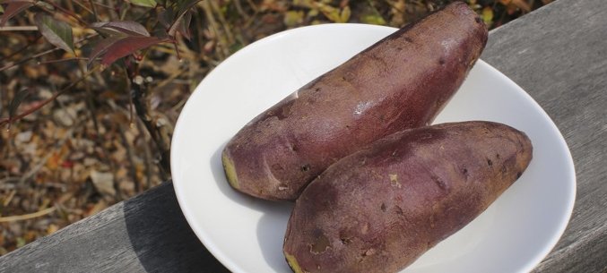 Sweet Potato Captures Russian Market