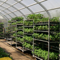 UAE investors plan to construct a greenhouse complex in Kuban