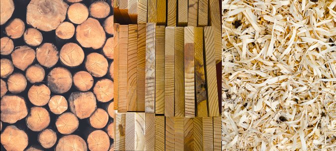 Irkutsk Region Leads in Sawn Lumber Exports