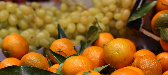 Russia became the main buyer of Egyptian fruit and vegetables