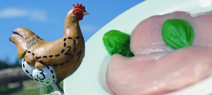 Stavropol Territory Leading Russian Exporter of Poultry Meat