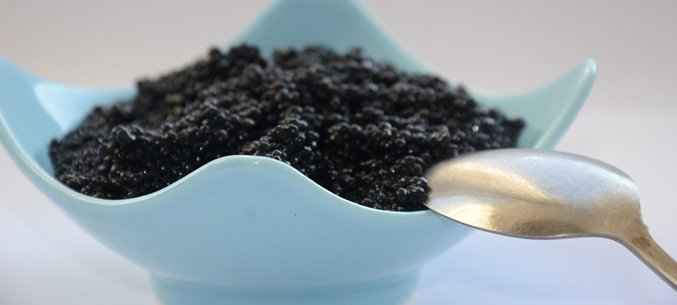 The USA And Singapore Expand Russian Caviar Import