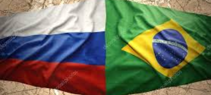 Brazil softens requirements to Russian wheat exports  watchdog