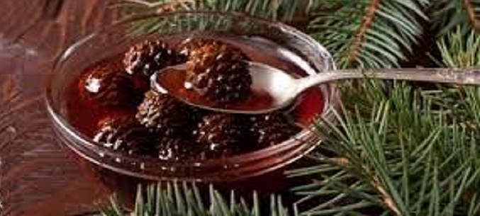 Russian Pine Cone Jam and Willowherb In New York