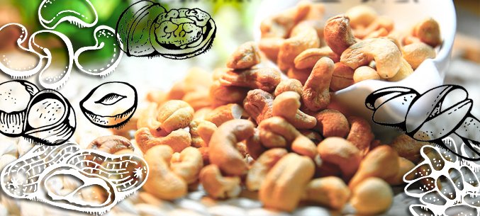 Kaliningrad Region Leading Nut Importer