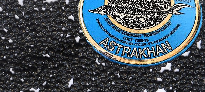 Astrakhan Increases Caviar Exports